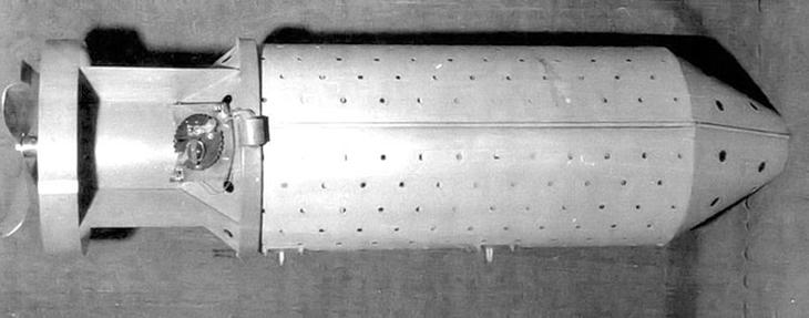 capsula do morcego-bomba