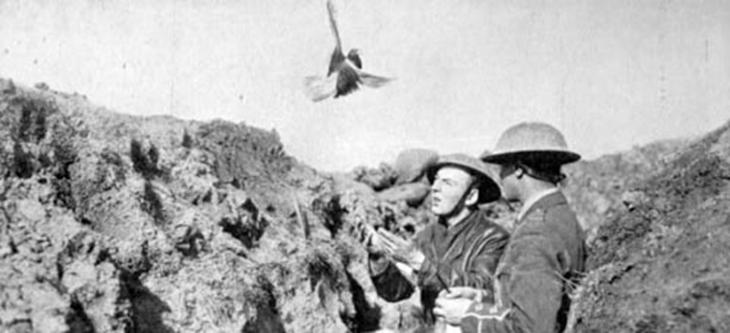 dois soldados britânicos soltando pombo-correio