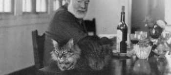 Ernest Hemingway e Cristóvão seu gato