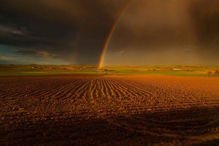 campo com arco-íris 