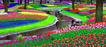jardim Keukenhof bem colorido com rio passando