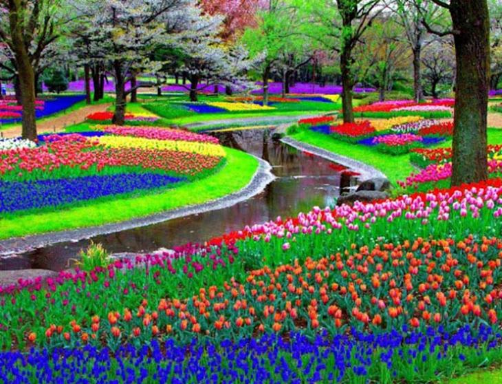 O jardim de Keukenhof, Amsterdam, Holanda. Créditos: Corbis, ID: BE040947. jardim Keukenhof bem colorido com rio passando