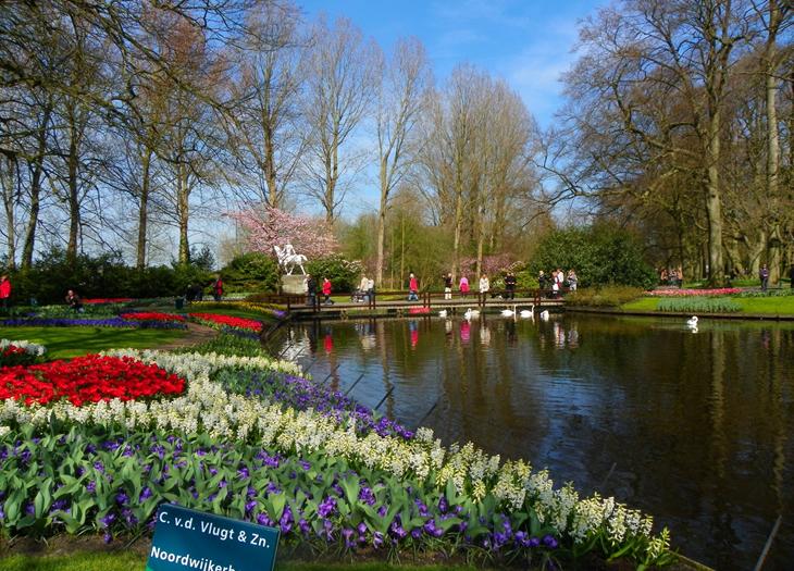 Lagos, música e arquitetura. Em Keukenhof há muitas temáticas. Créditos: autoria desconhecida. jardim de Keukenhof com um lago e ponte