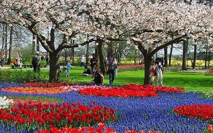 Turistas contemplando, respirando e fotografando o jardim holandês. Créditos: autoria desconhecida. turistas fotografando e contemplando a beleza do jardim de keukenhof