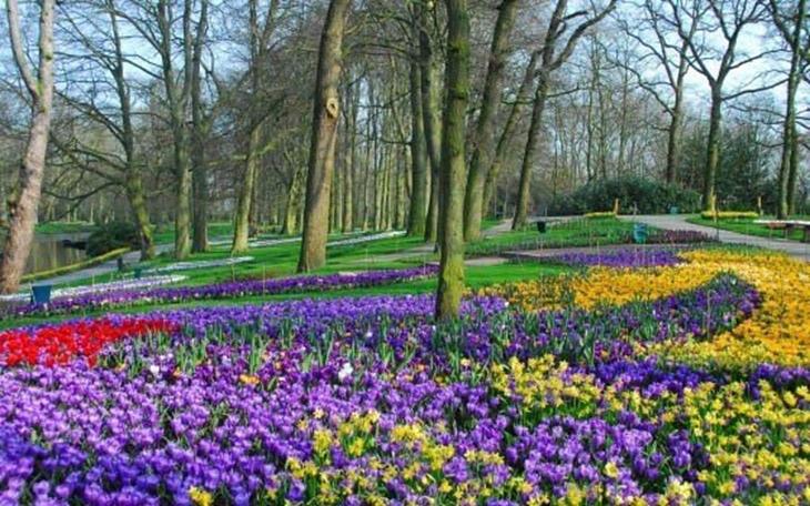 Jardins de Keukenhof. Créditos: autoria desconhecida. Jardins de Keukenhof entre árvores, grama e caminhos