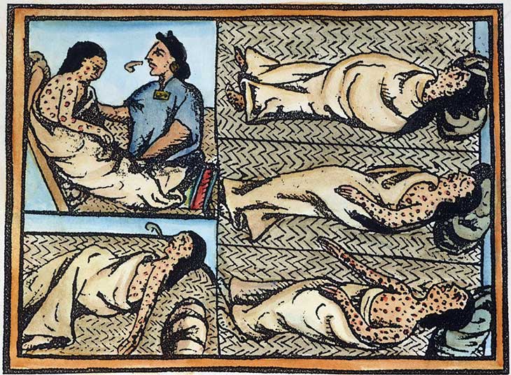 vice-reinos e as doenças e mortes de nativos