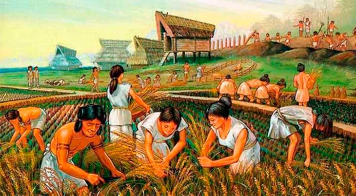 sociedade neolítica na agricultura