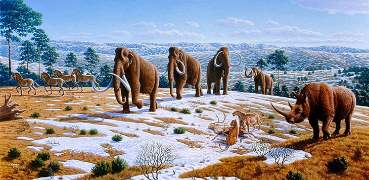 mamutes como fonte de alimento para caçadores e coletores do paleolítico