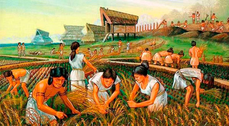 as mulheres teriam sido as responsáveis pela revolução neolítica – revolução da agricultura.